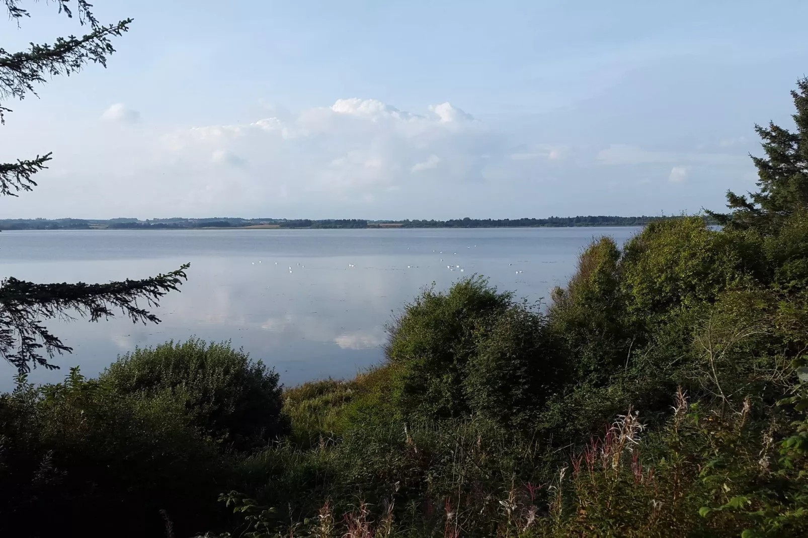 8 person holiday home in Skals-Water view