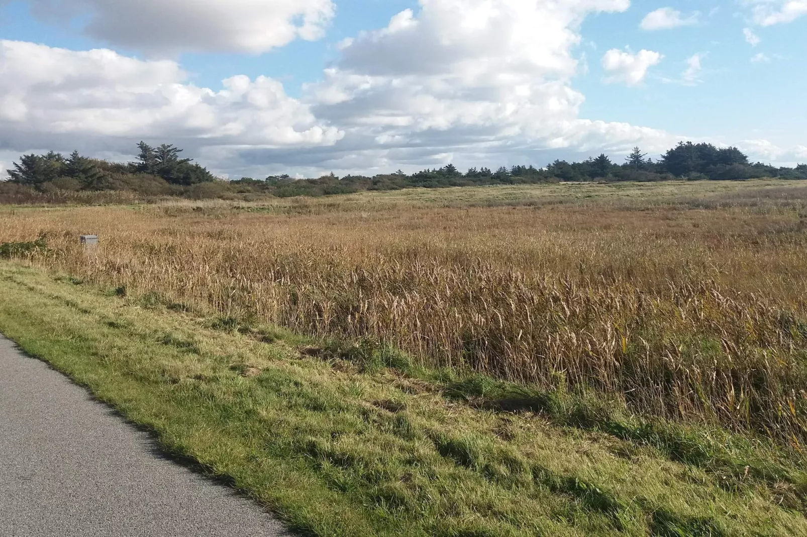 Maison de vacances pour 4 a Ringkøbing-Non tagué