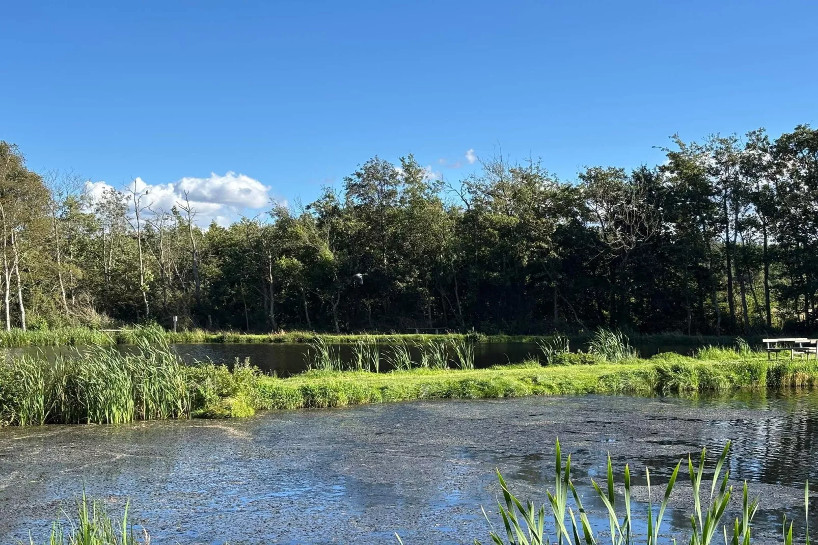 Bright Cottage by the Lagoon-By Traum-Water view