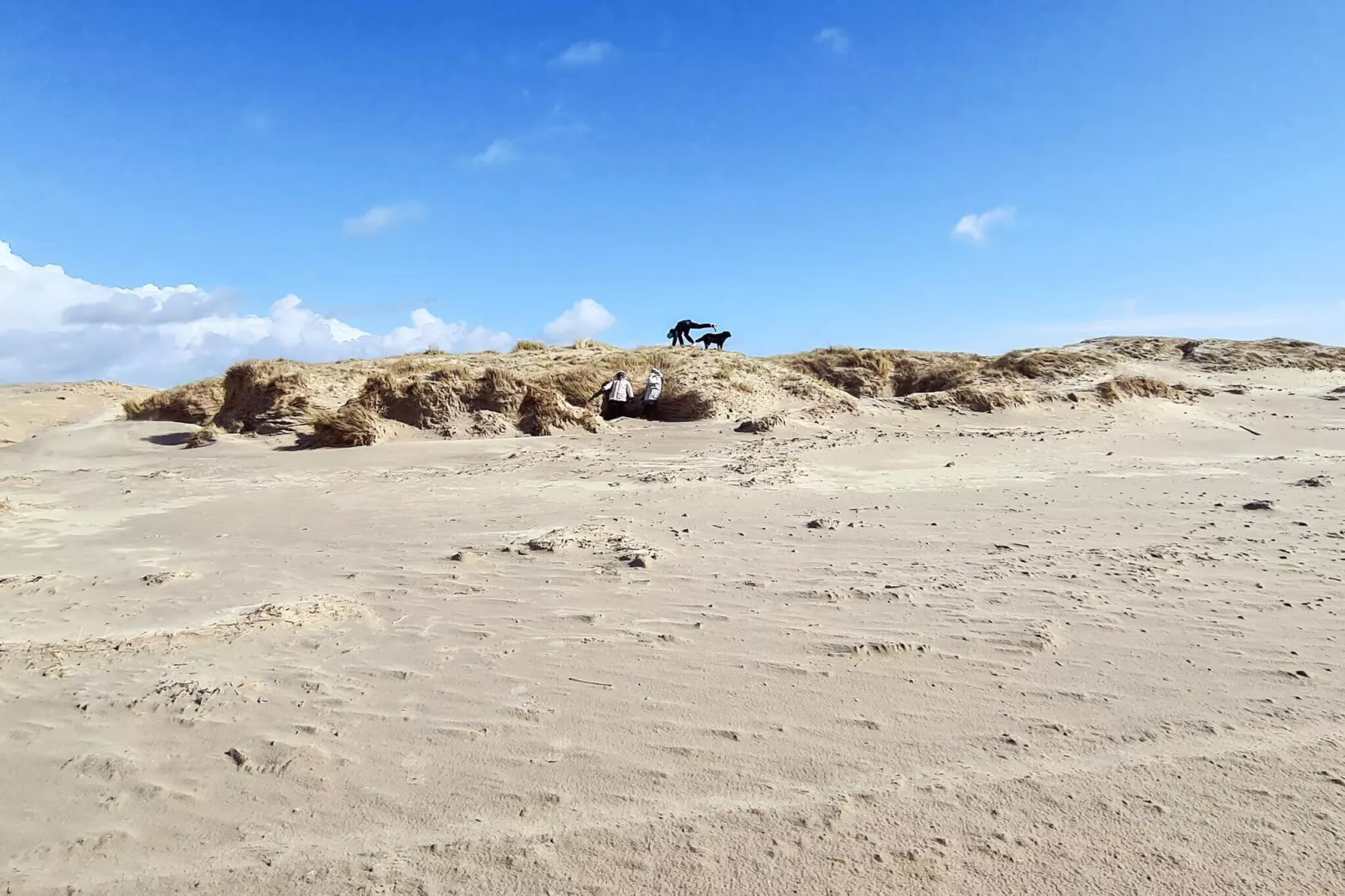 9 person holiday home in Rømø-Water view