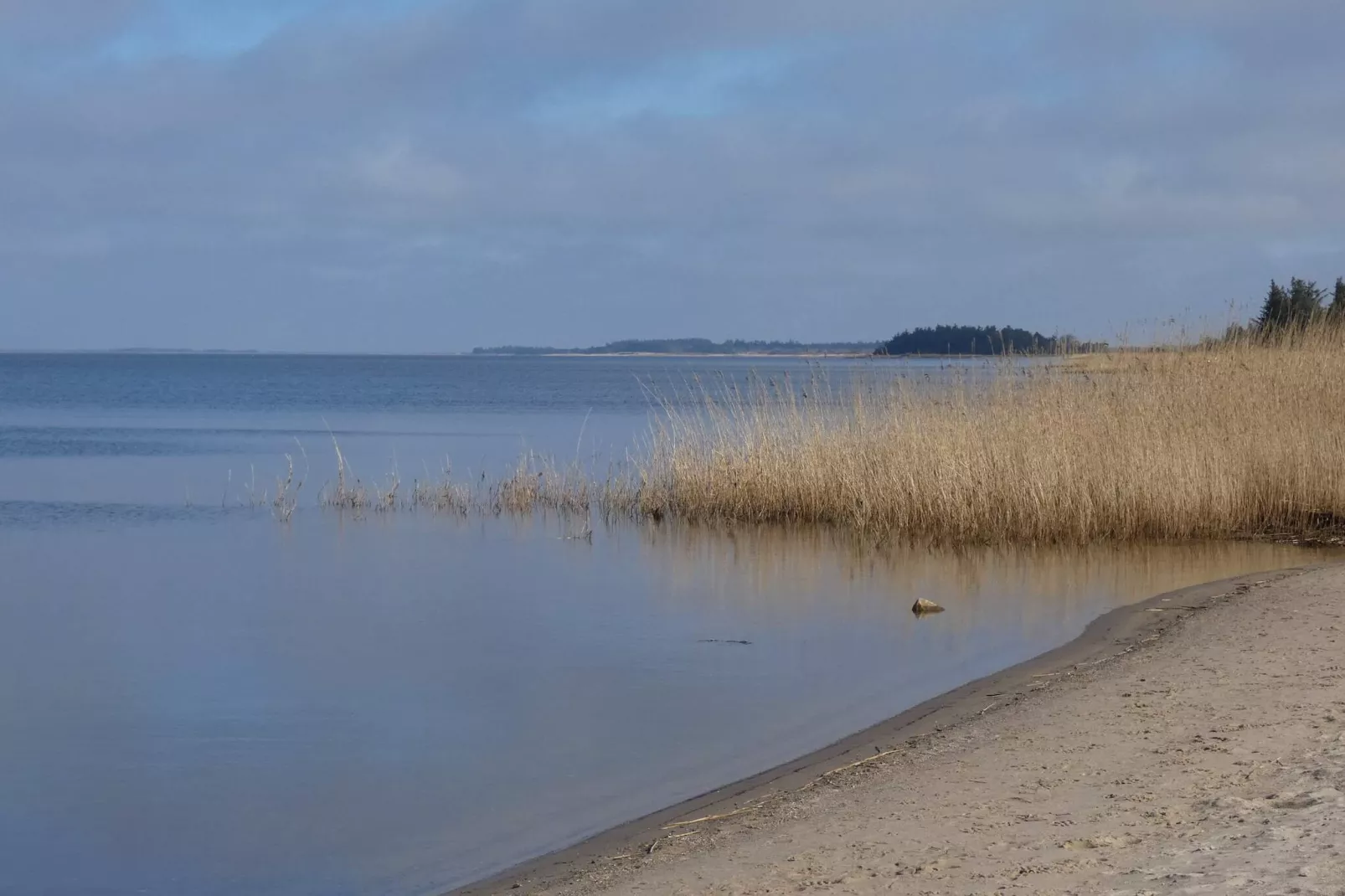 Maison de vacances pour 4 a Hemmet-Vue sur l'eau