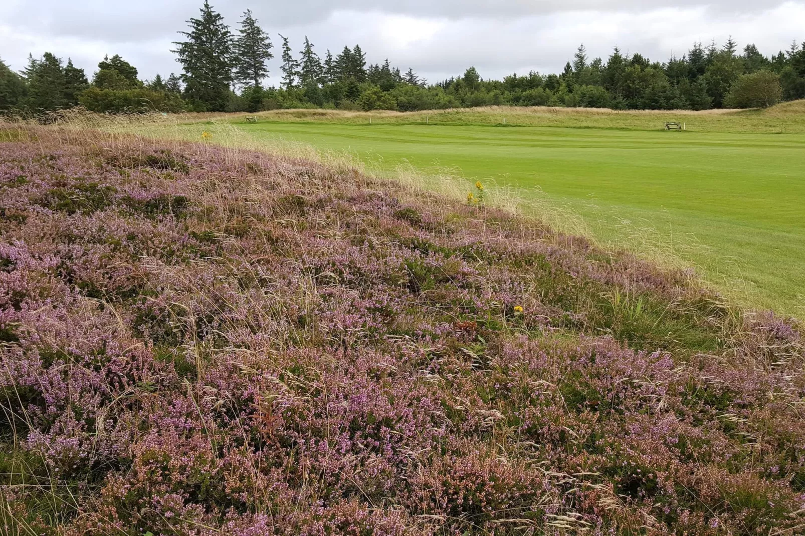 6 person holiday home in Fjerritslev - Untagged