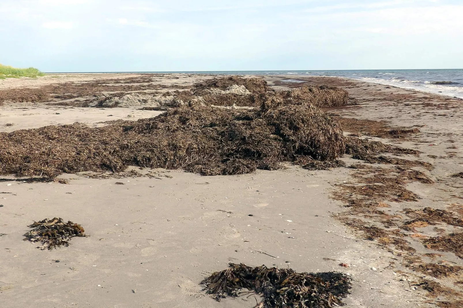 6 Personen Ferienhaus in Læsø