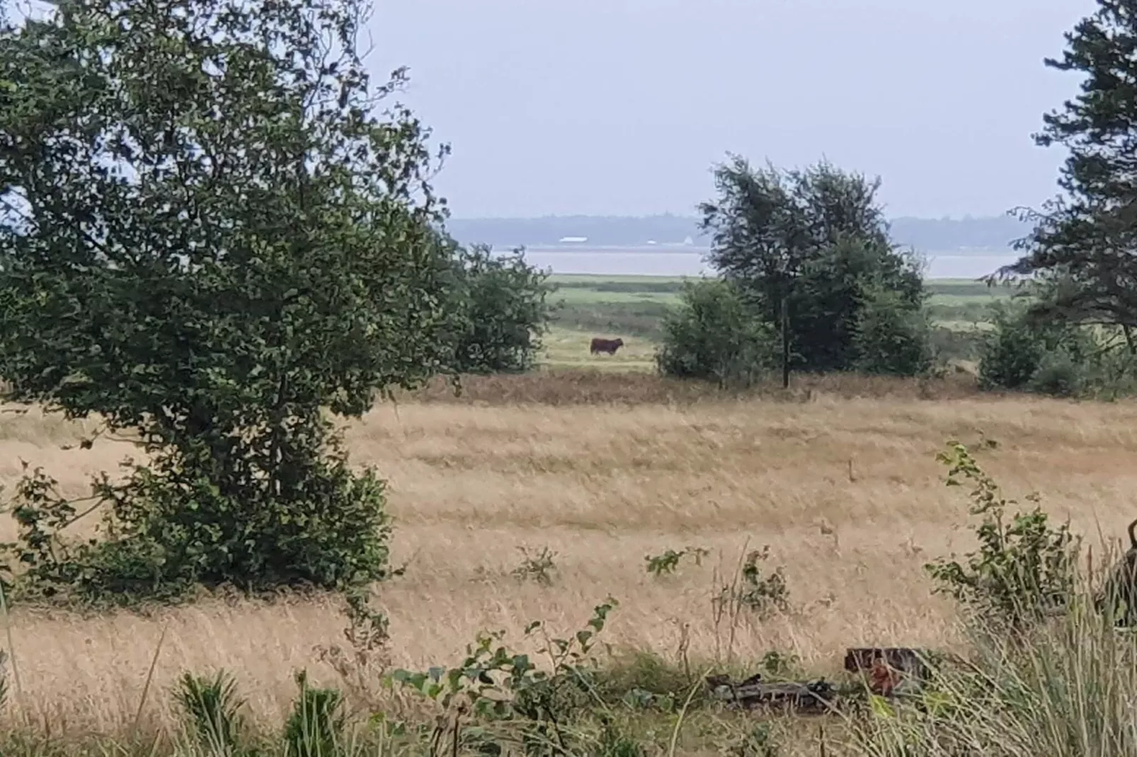 4 person holiday home in Oksbøl-Untagged