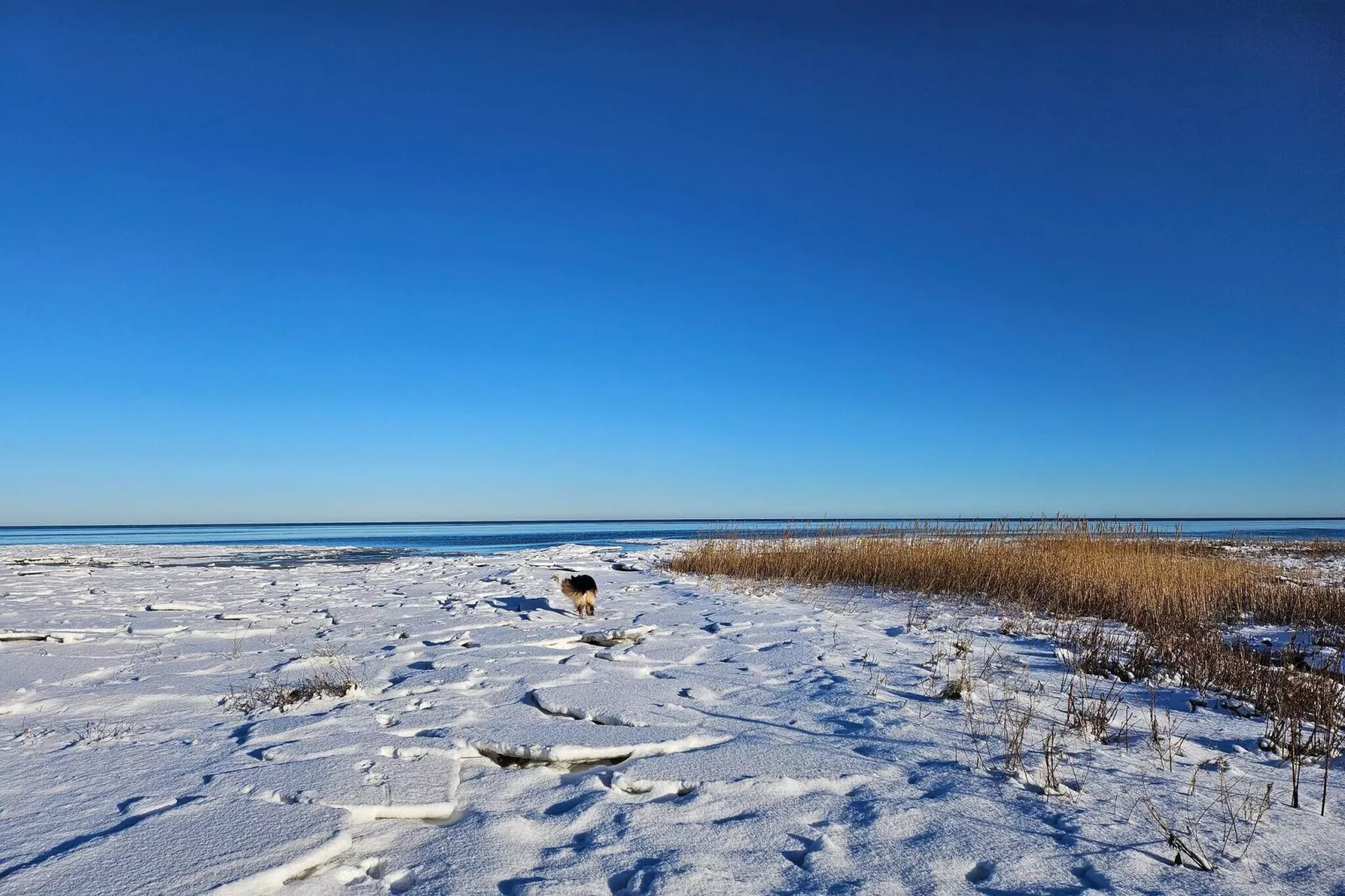 10 Personen Ferienhaus in Ørsted-Nicht zugeordnet