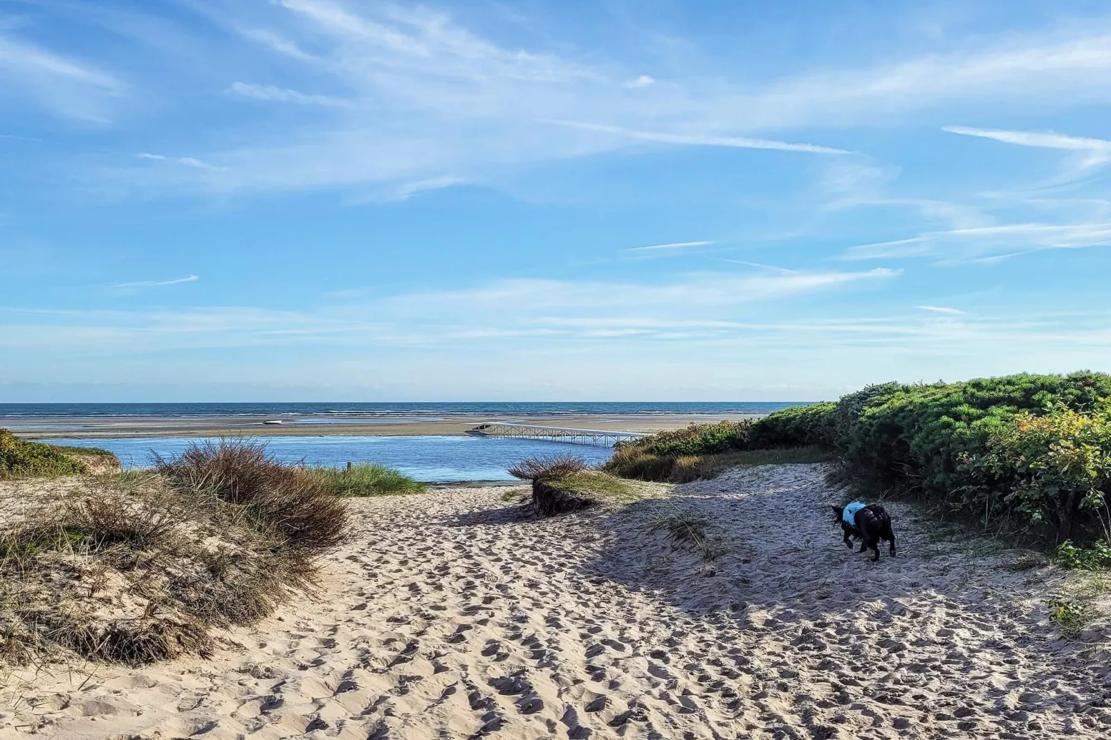 Maison de vacances pour 8 a Væggerløse-Vue sur l'eau