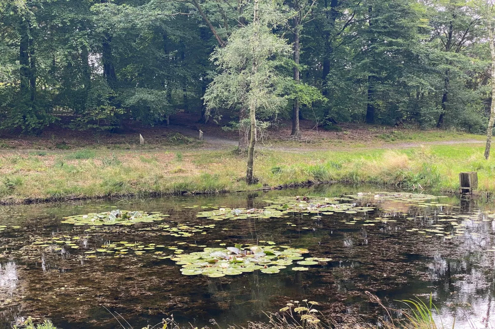 5 person holiday home in Hovborg