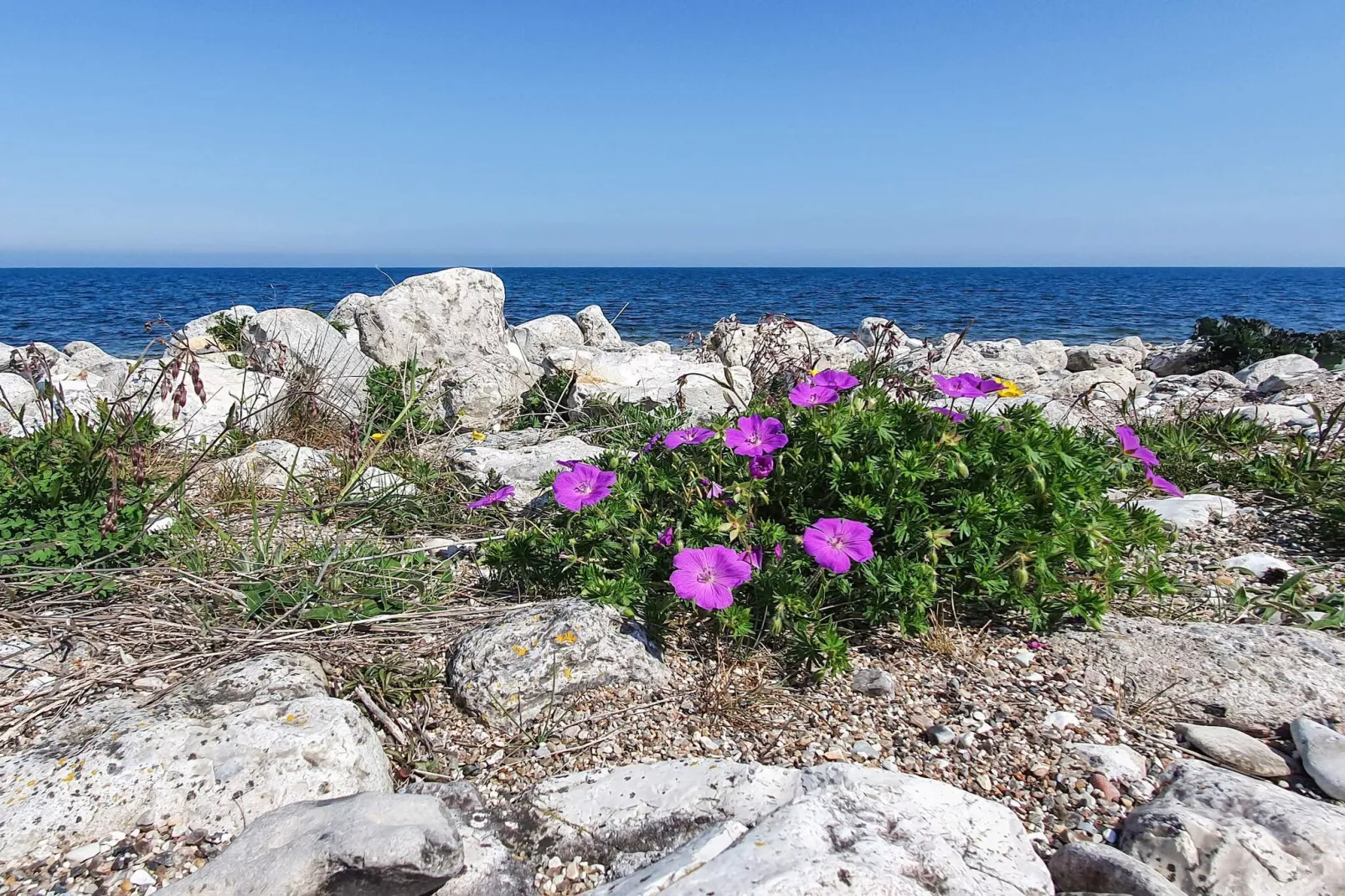 6 person holiday home in Nykøbing Sj-Water view