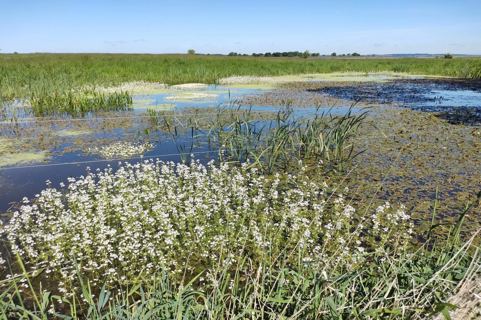 8 person holiday home in Præstø-Water view