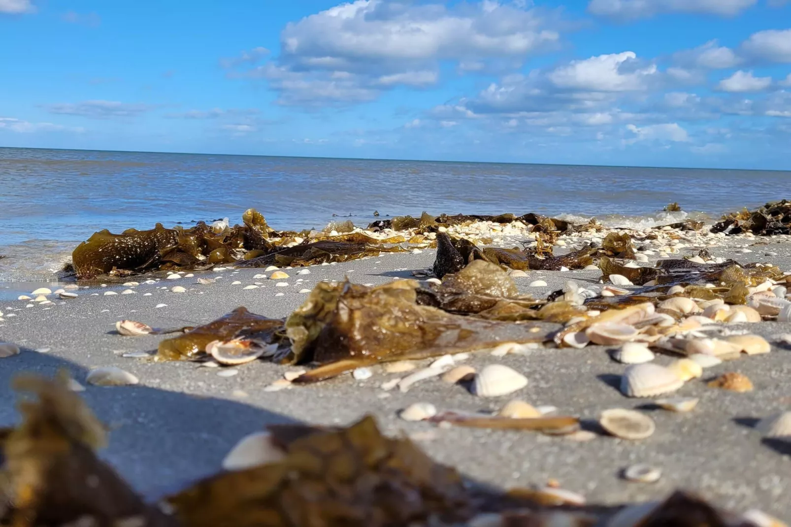 5 person holiday home in Sæby-Water view
