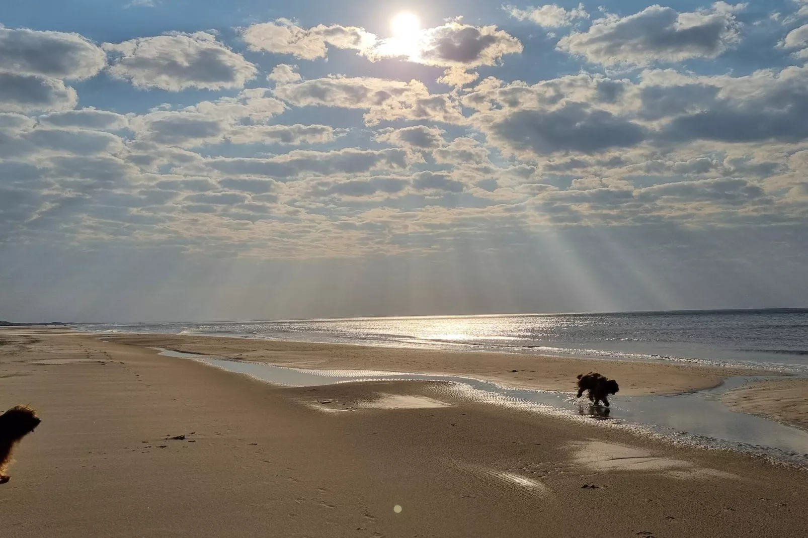 Luxury Pool Villa Retreat - By Traum Ferienwohnungen-Water view