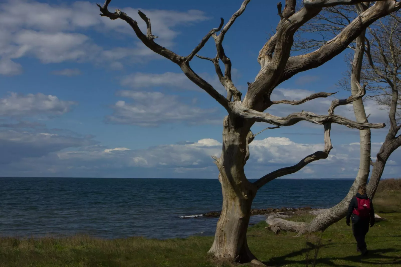 6 person holiday home in Bagenkop-By Traum-Water view