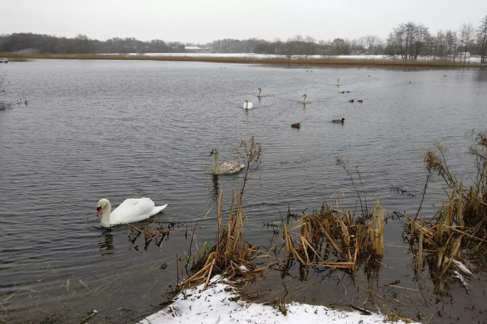 Luxury Retreat by Ho Bay - By Traum Ferienwohnungen-Water view