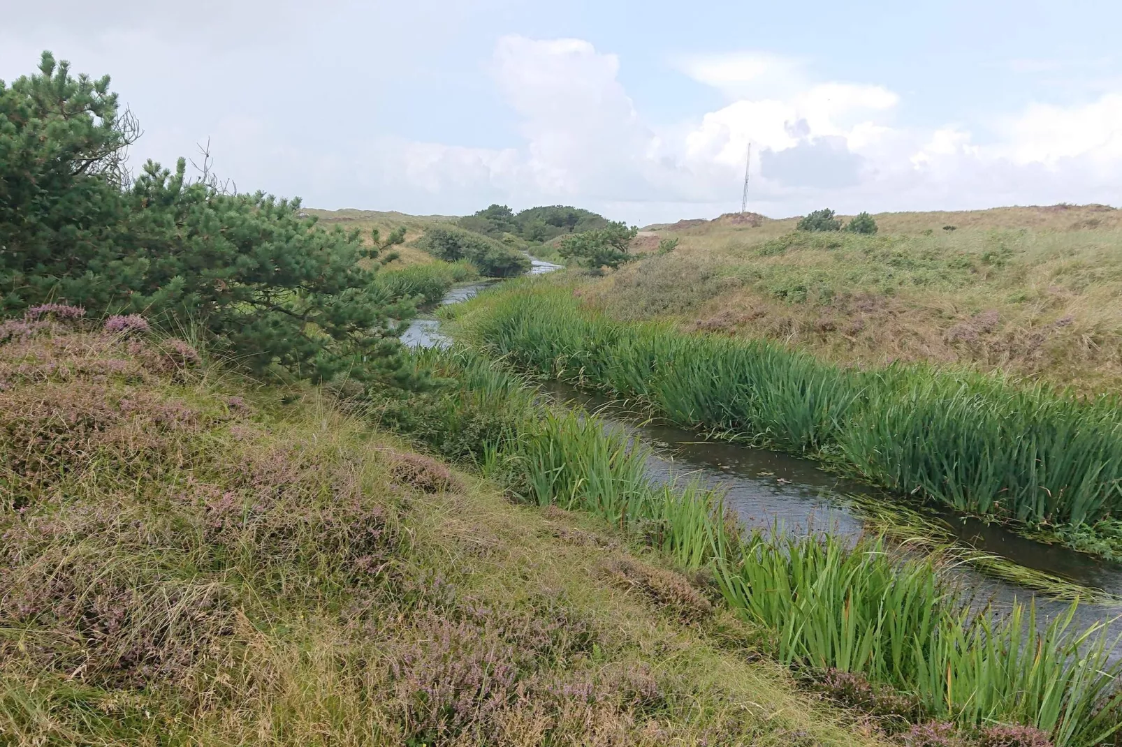 Strandparadies in Graerup -- By Traum Ferienwohnungen-Wasserblick