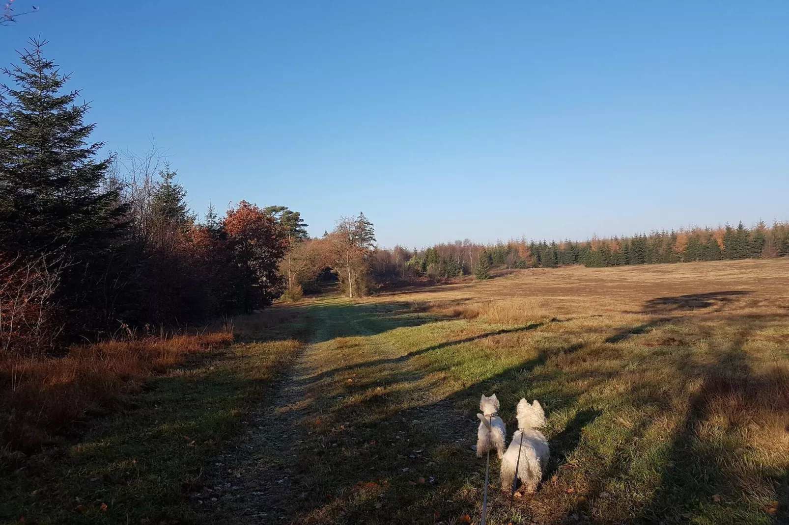 6 person holiday home in Toftlund-By Traum-Untagged