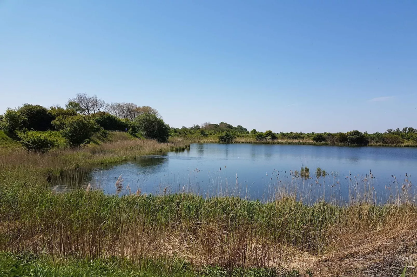 Maison de vacances pour 7 a Stege-By Traum-Vue sur l'eau