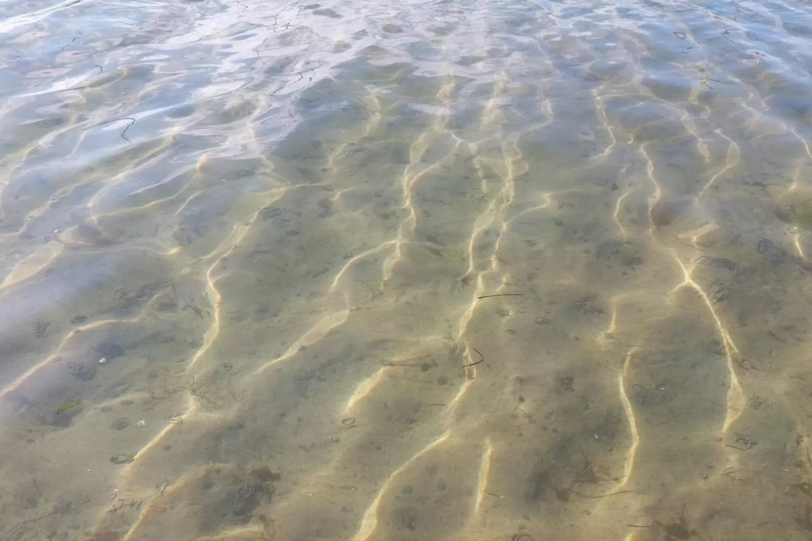 Maison de vacances pour 9 a Millinge-By Traum-Vue sur l'eau