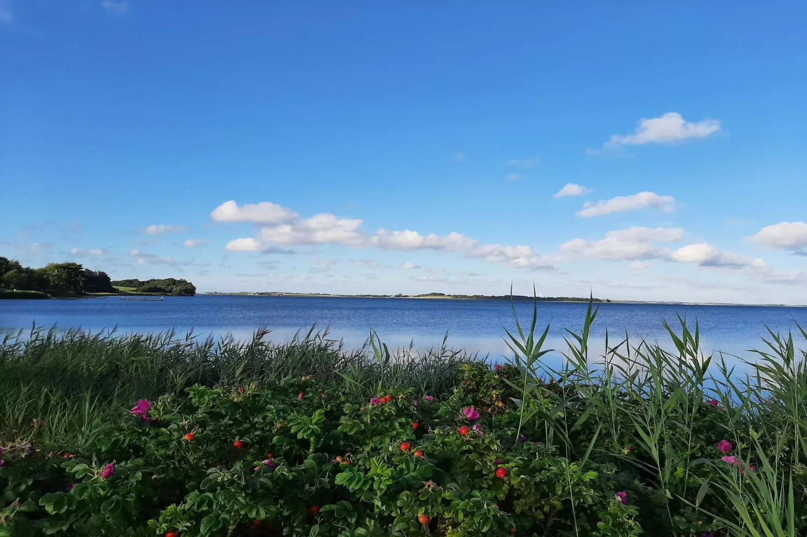 Scenic Retreat in Boddum - By Traum Ferienwohnungen-Water view