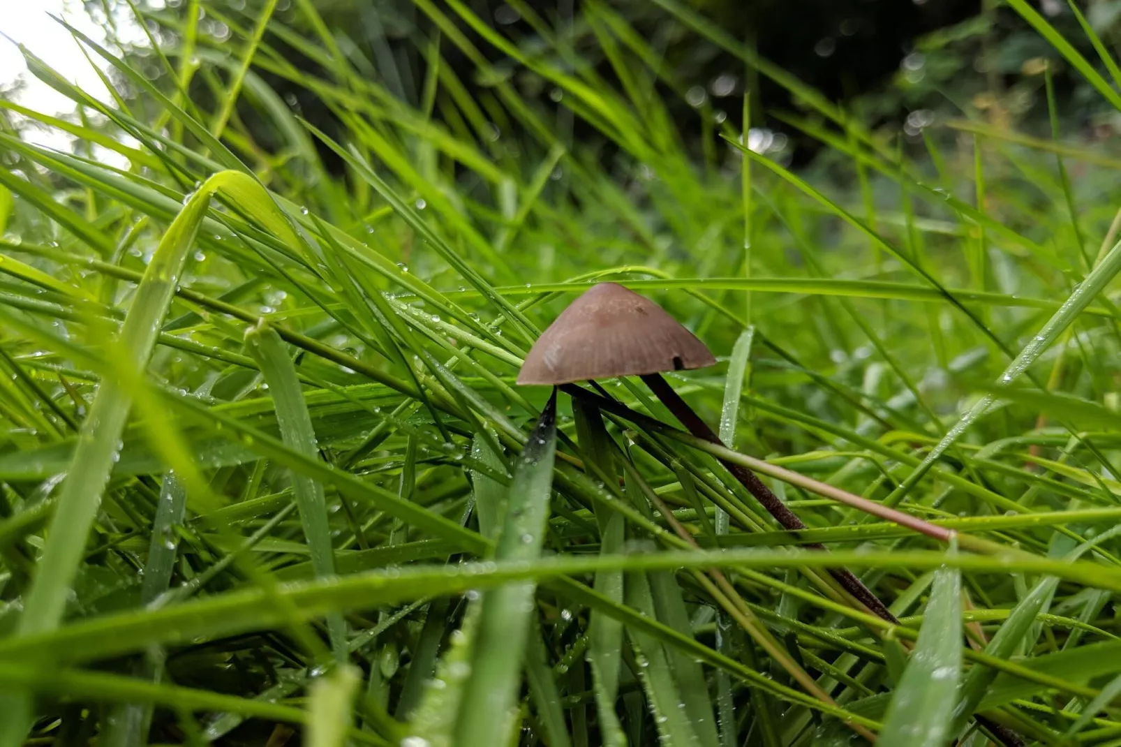 Villa de luxe avec piscine a Lohals -- By Traum Ferienwohnungen-Non tagué