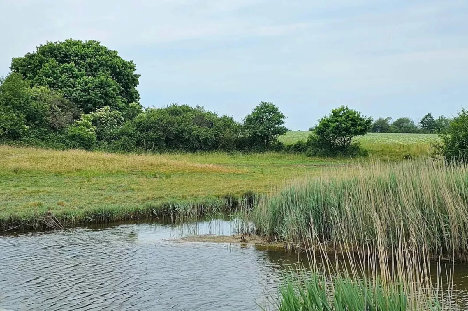 Maison de vacances pour 8 a Bjert-By Traum-Vue sur l'eau