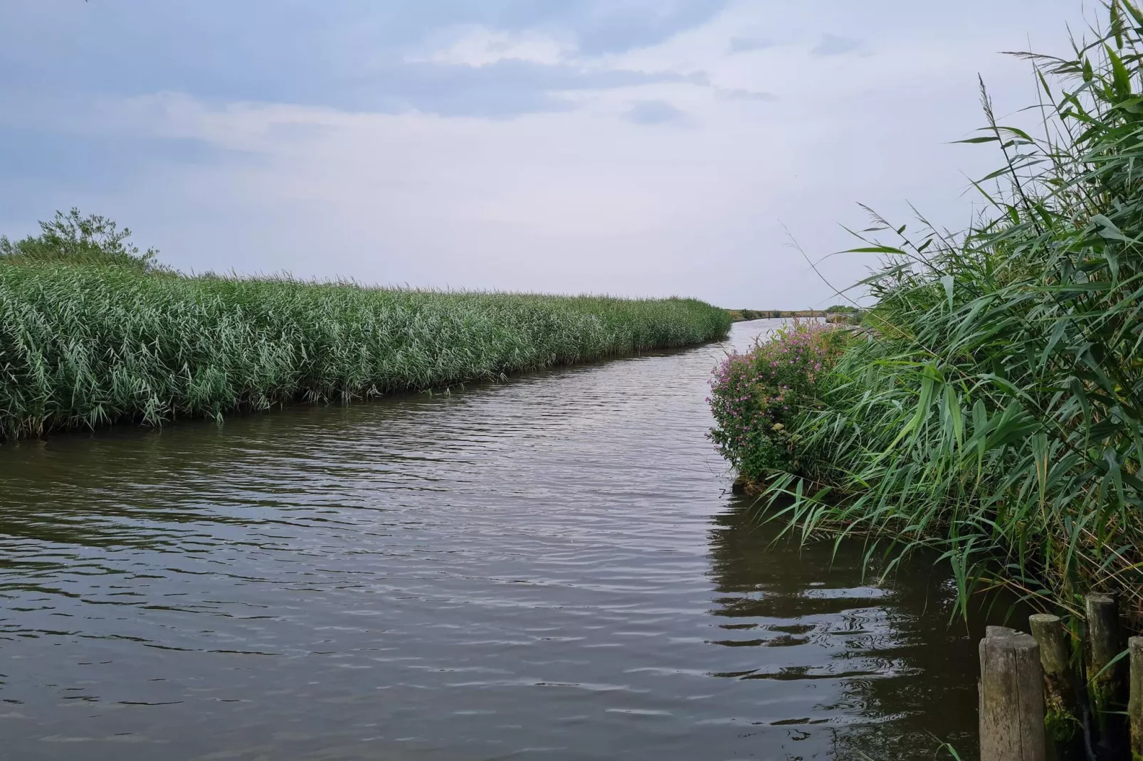 Maison de vacances pour 8 a Sæby-Vue sur l'eau