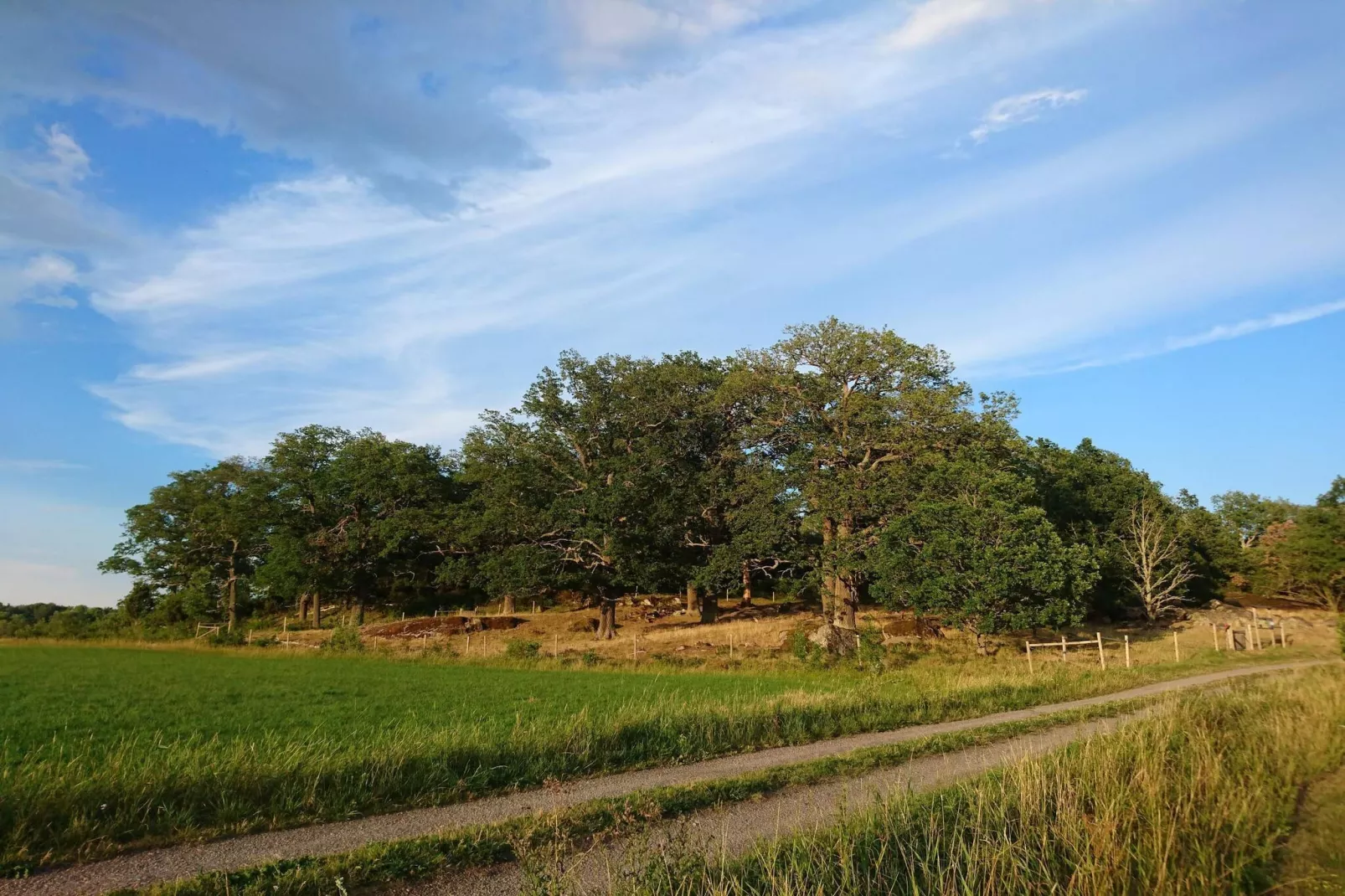 4 Personen Ferienhaus in TORSHÄLLA-By Traum-Nicht zugeordnet
