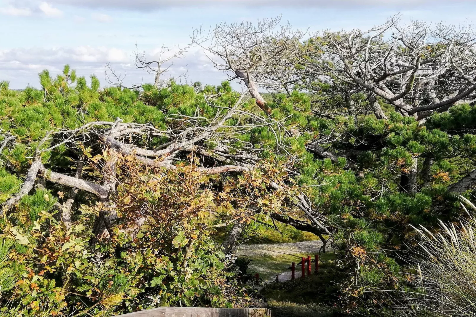 6 person holiday home in Ulfborg-By Traum-Untagged