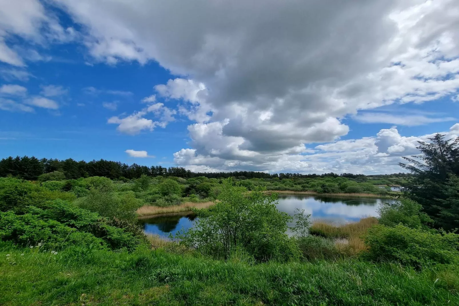 Maison de vacances pour 6 a Pandrup-Vue sur l'eau