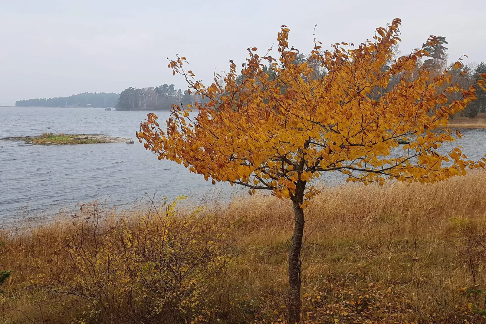 6 person holiday home in ORNÖ-By Traum-Water view