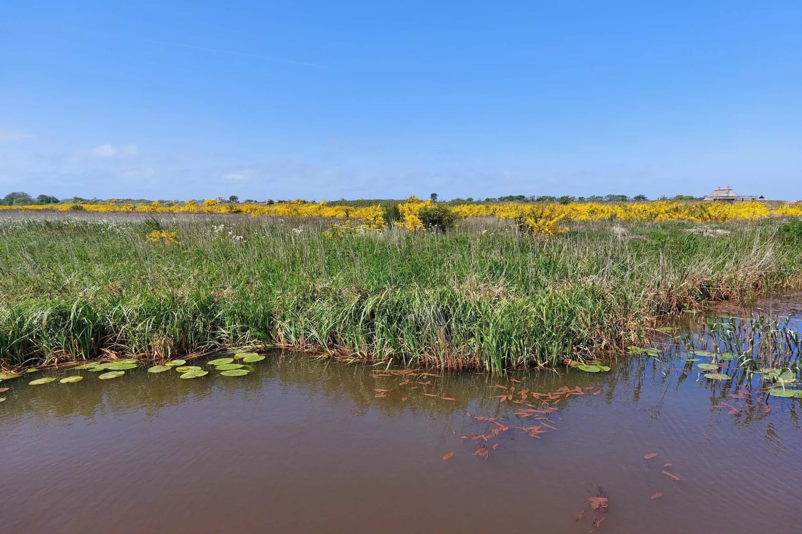 10 Personen Ferienhaus in Tarm-By Traum-Wasserblick