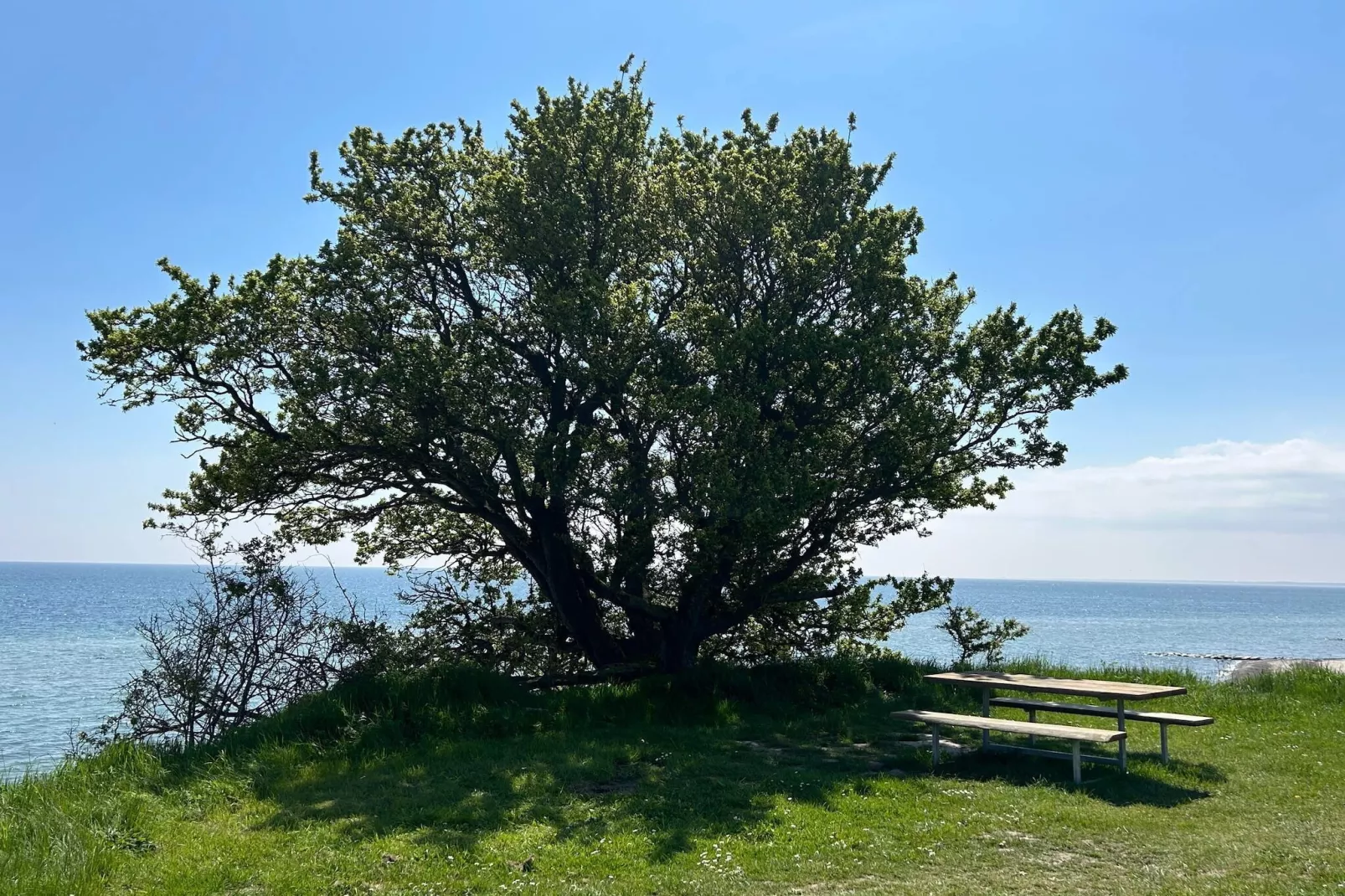 12 person holiday home in Idestrup-Water view