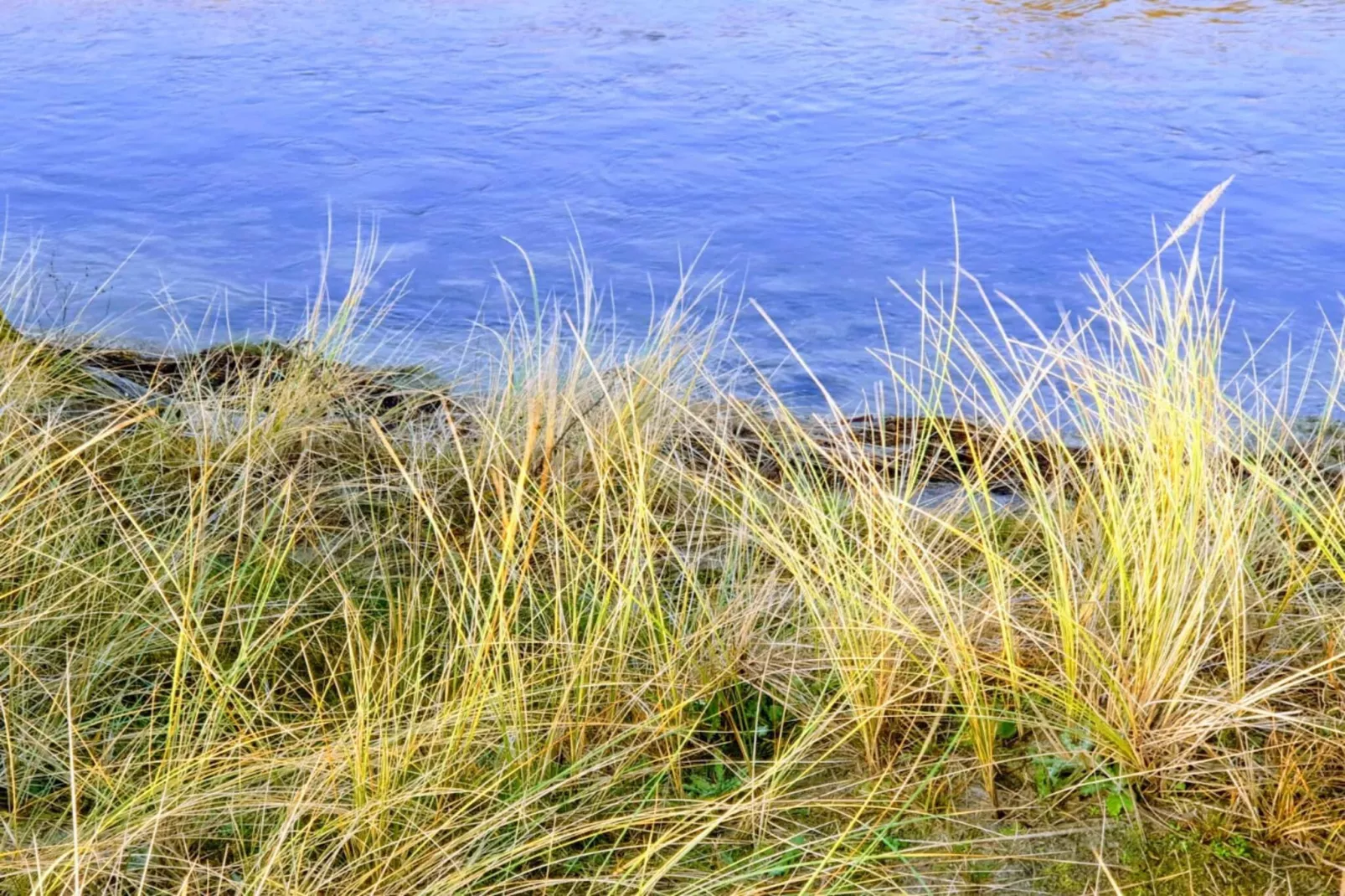 6 person holiday home in Store Fuglede-By Traum-Water view