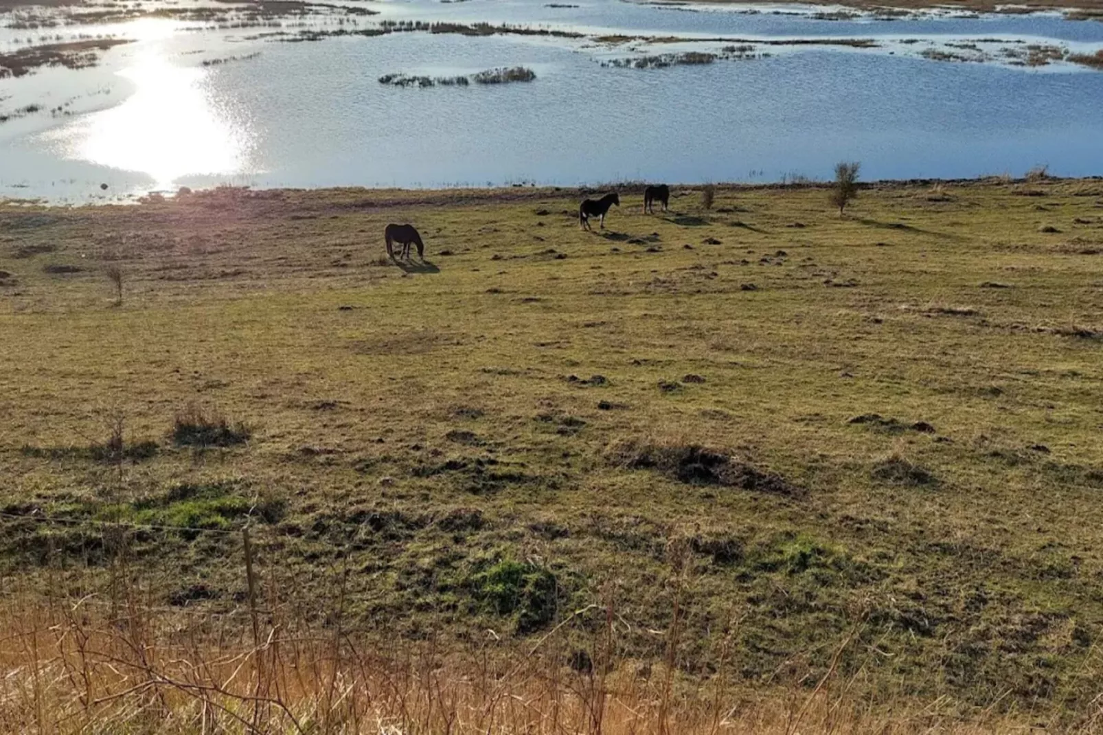 Family cottage for eight guests - Water view