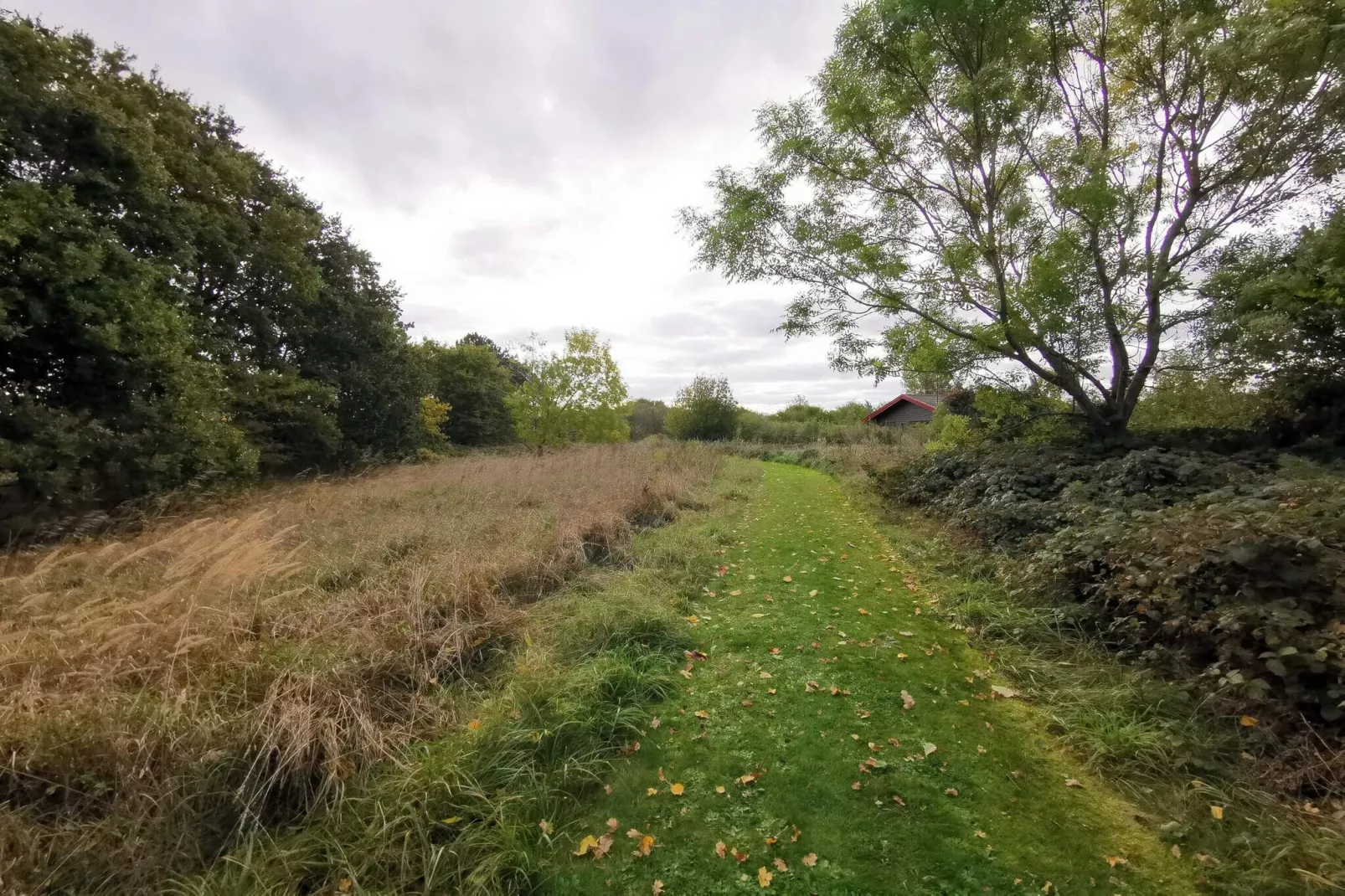 Maison de vacances pour 6 a Dannemare-By Traum-Non tagué