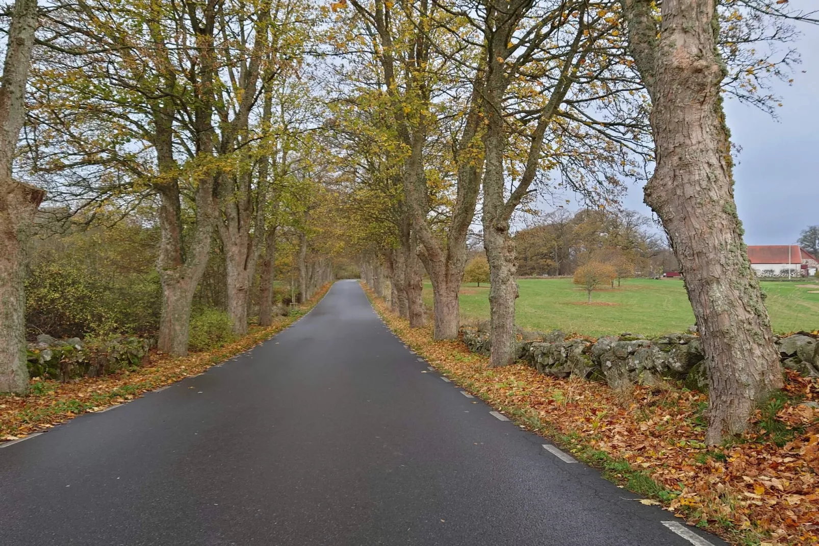 4 person holiday home in EVERÖD-By Traum-Untagged