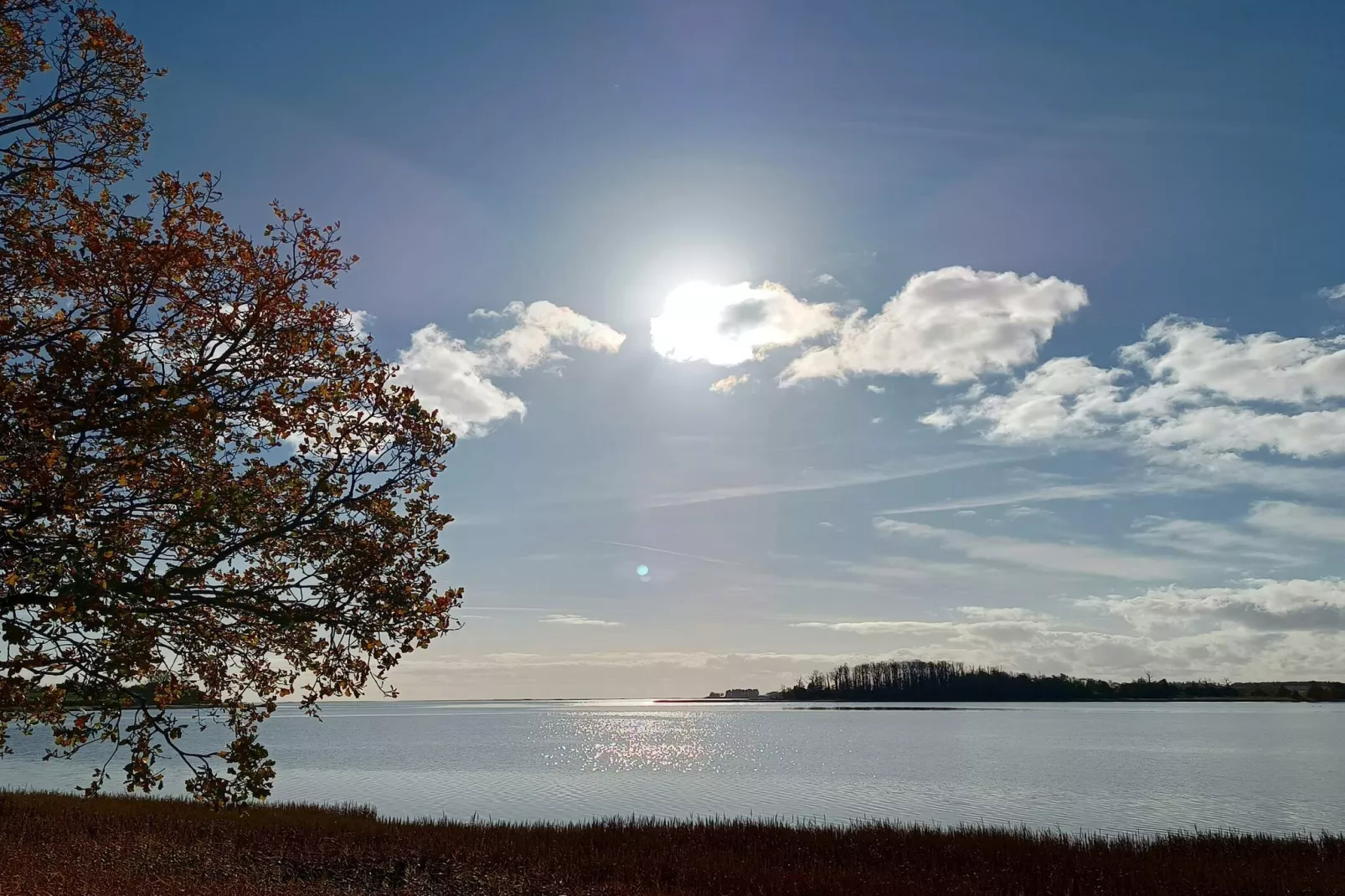 5 person holiday home in Rude-By Traum-Water view