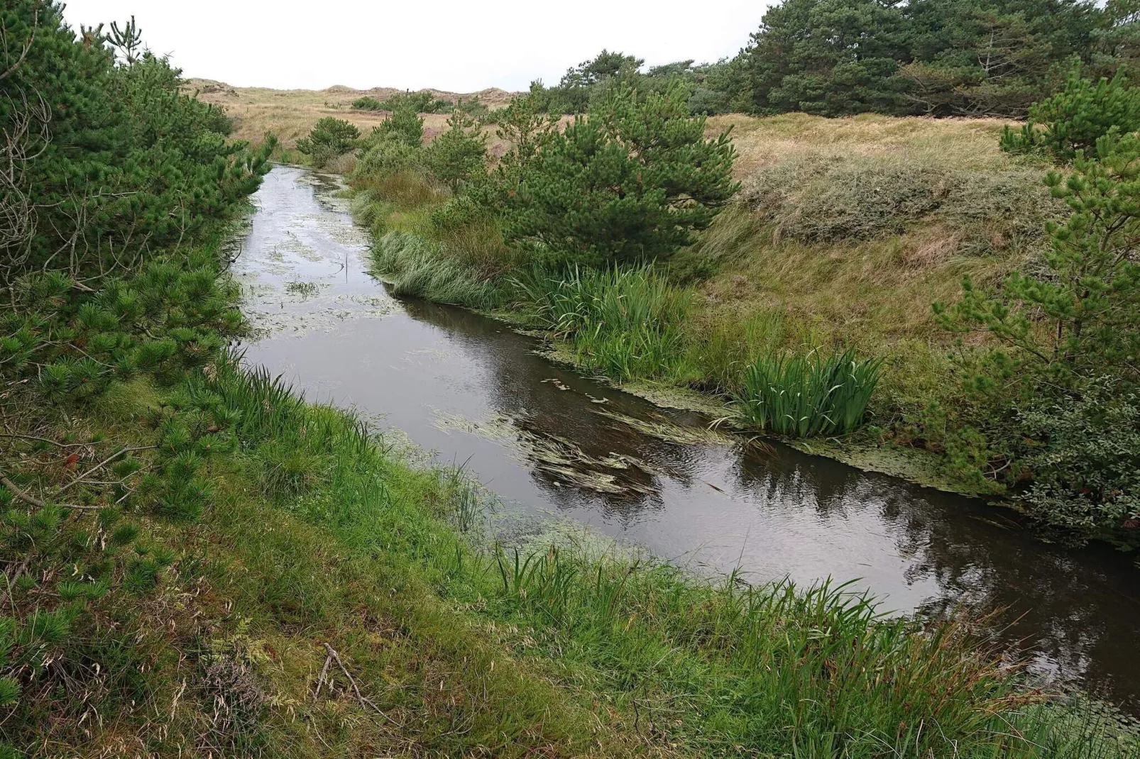 2 person holiday home in Vejers Strand-By Traum-Water view