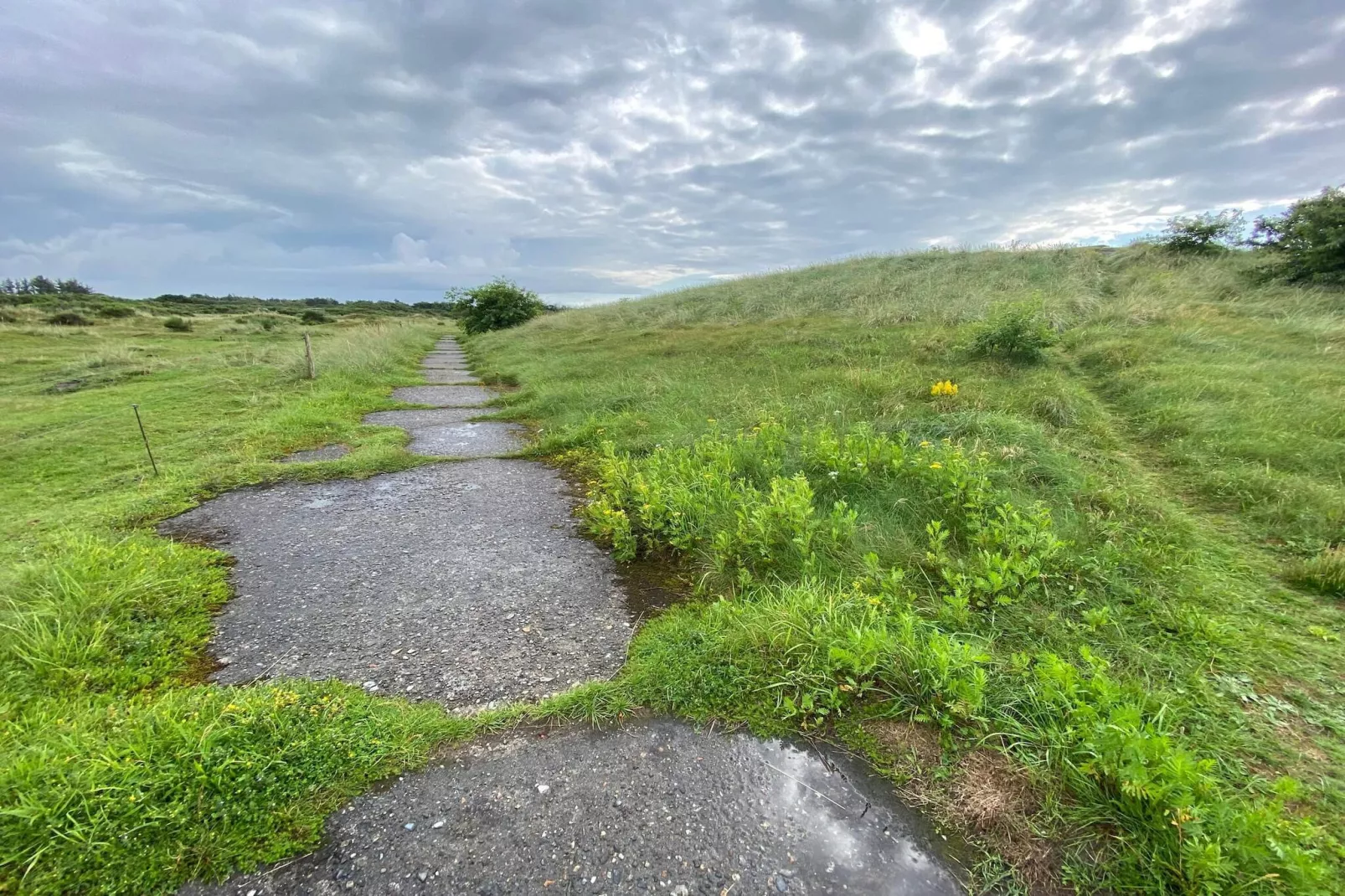4 Personen Ferienhaus in Skjern-By Traum-Nicht zugeordnet