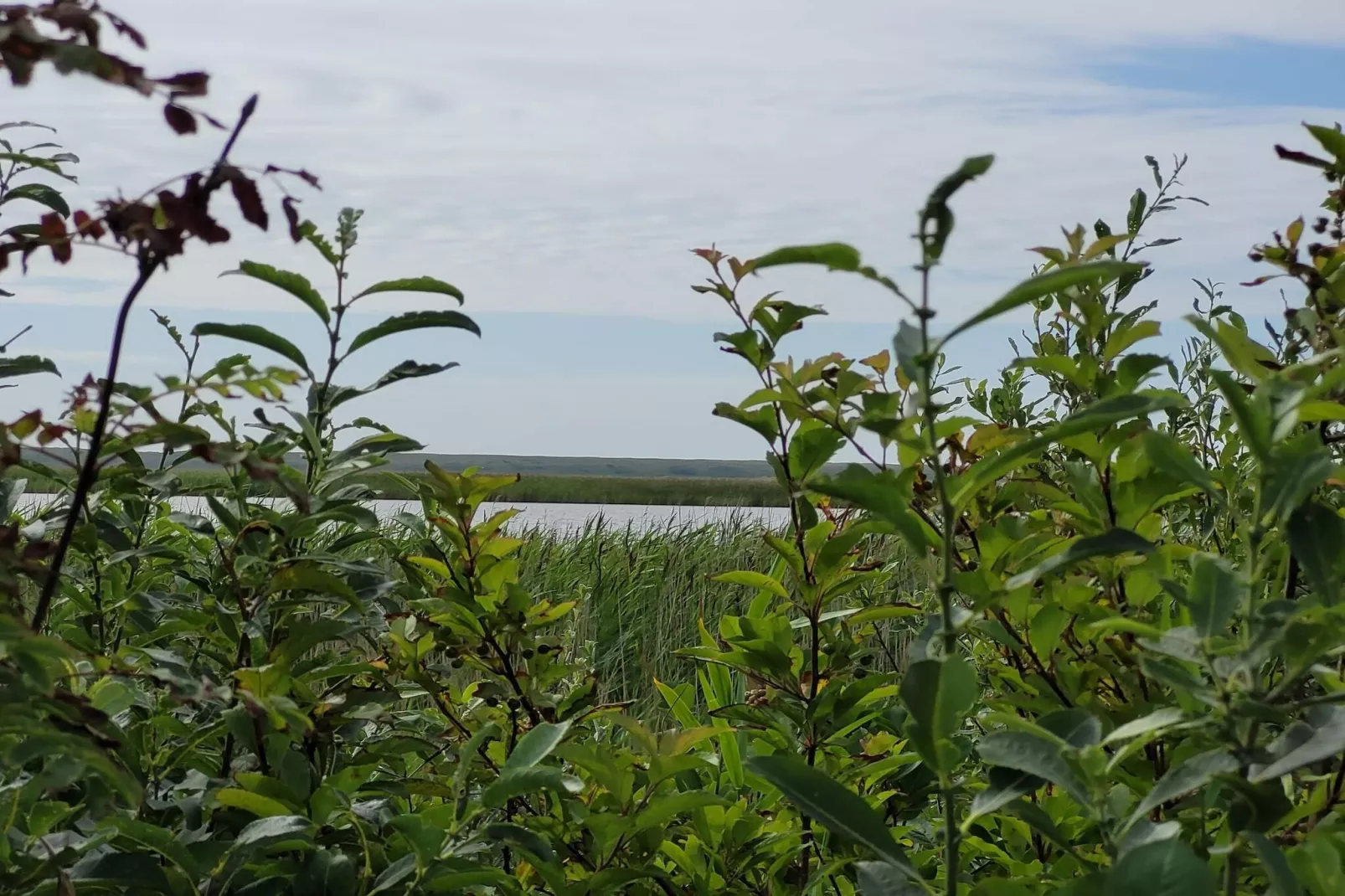 6 Personen Ferienhaus in Ulfborg-By Traum