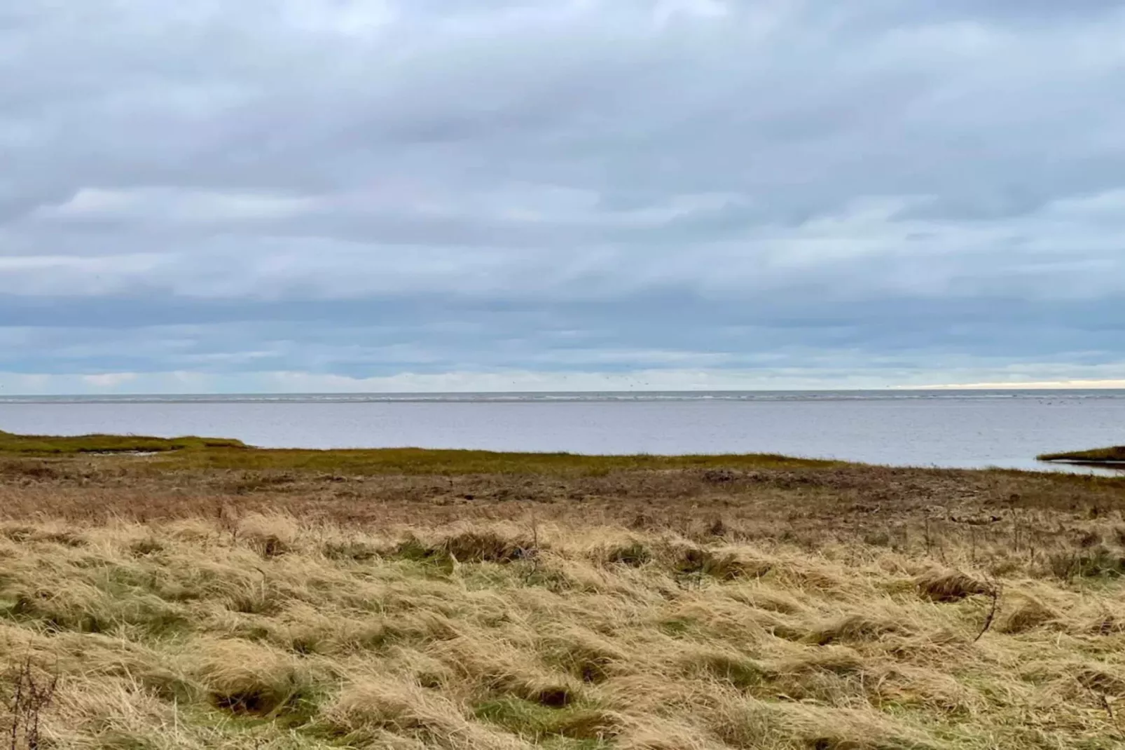 11 Personen Ferienhaus in Ørsted-By Traum-Wasserblick
