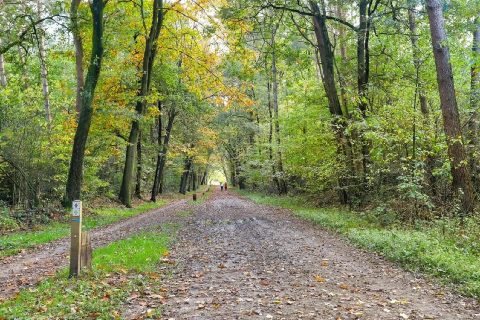 Bospark Markelo 5-Areas within 20km in summer