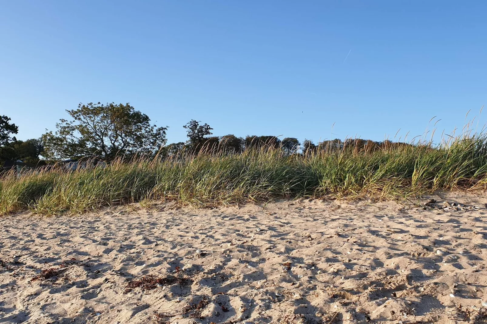 8 person holiday home in Aabenraa-By Traum-Water view