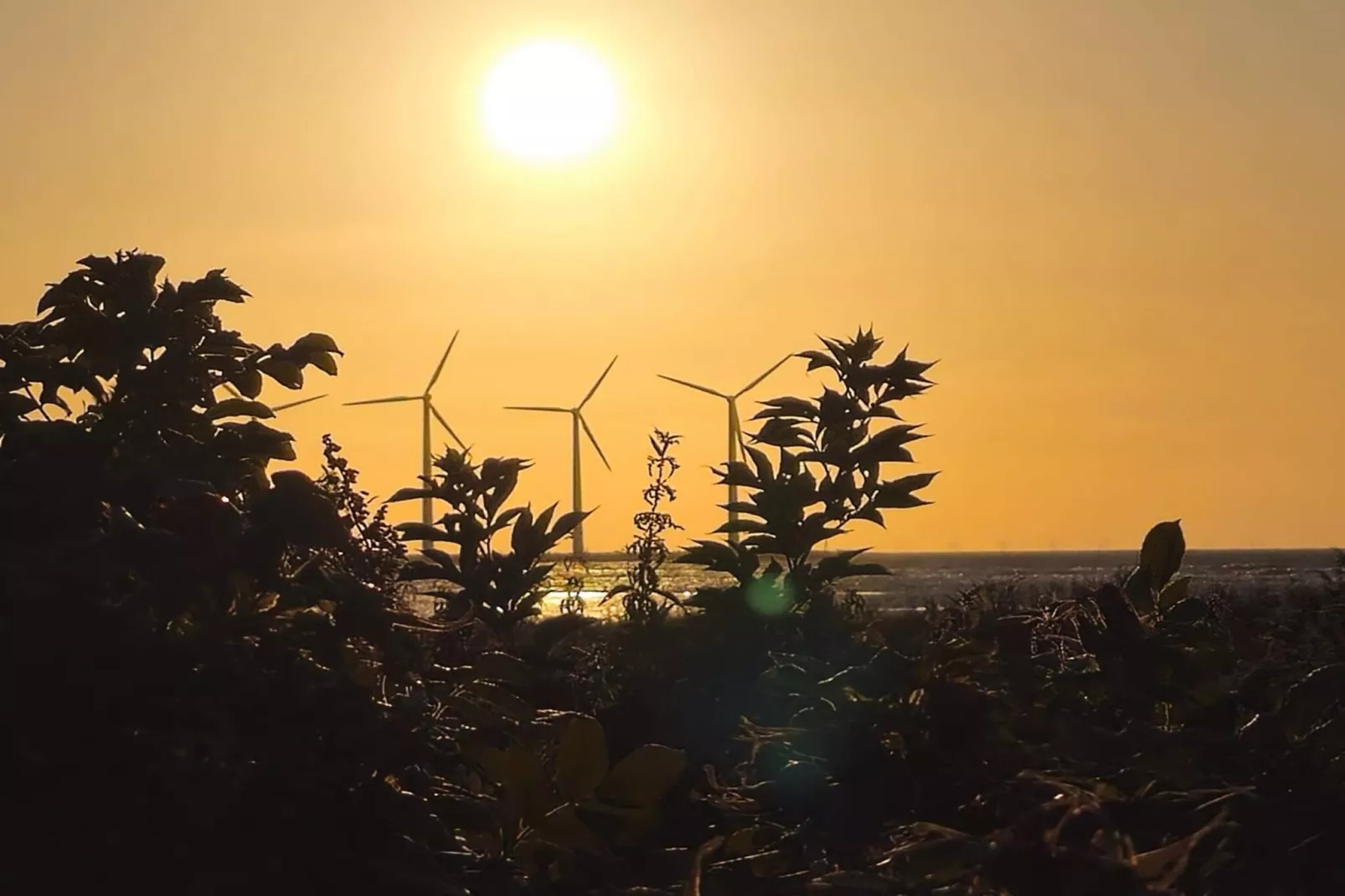 Sonniges Refugium im Hafen von Bonnerup-By Traum-Wasserblick