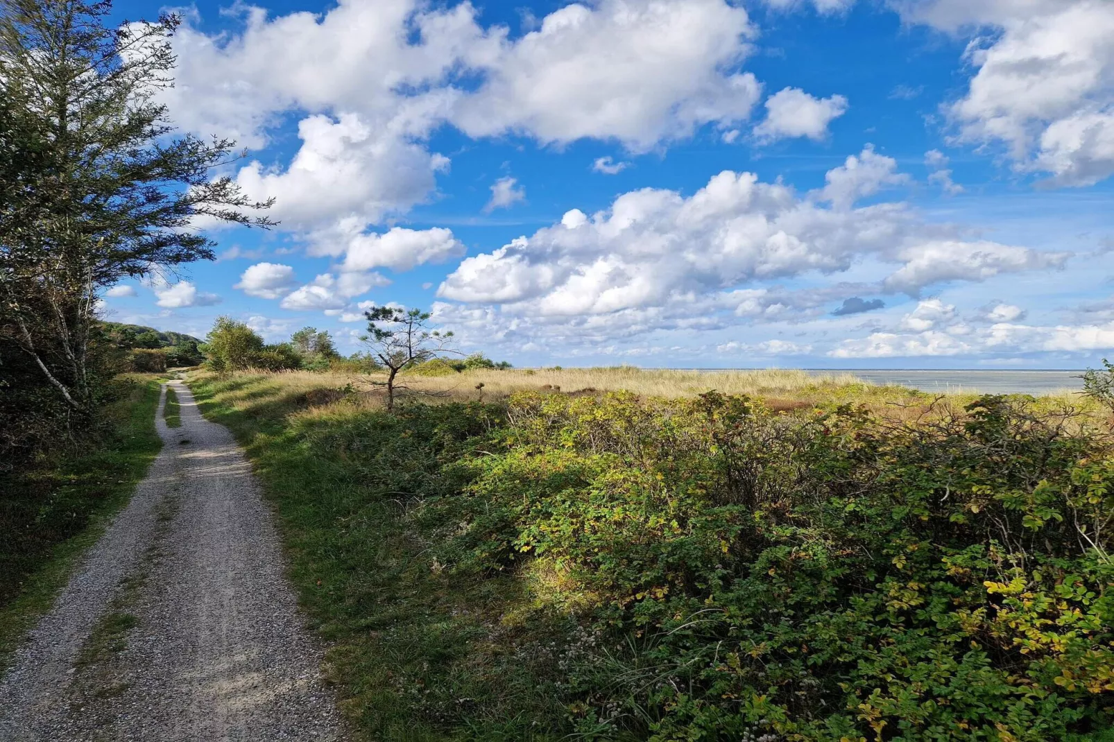 Maison de vacances pour 6 a Grenaa-By Traum-Vue sur l'eau