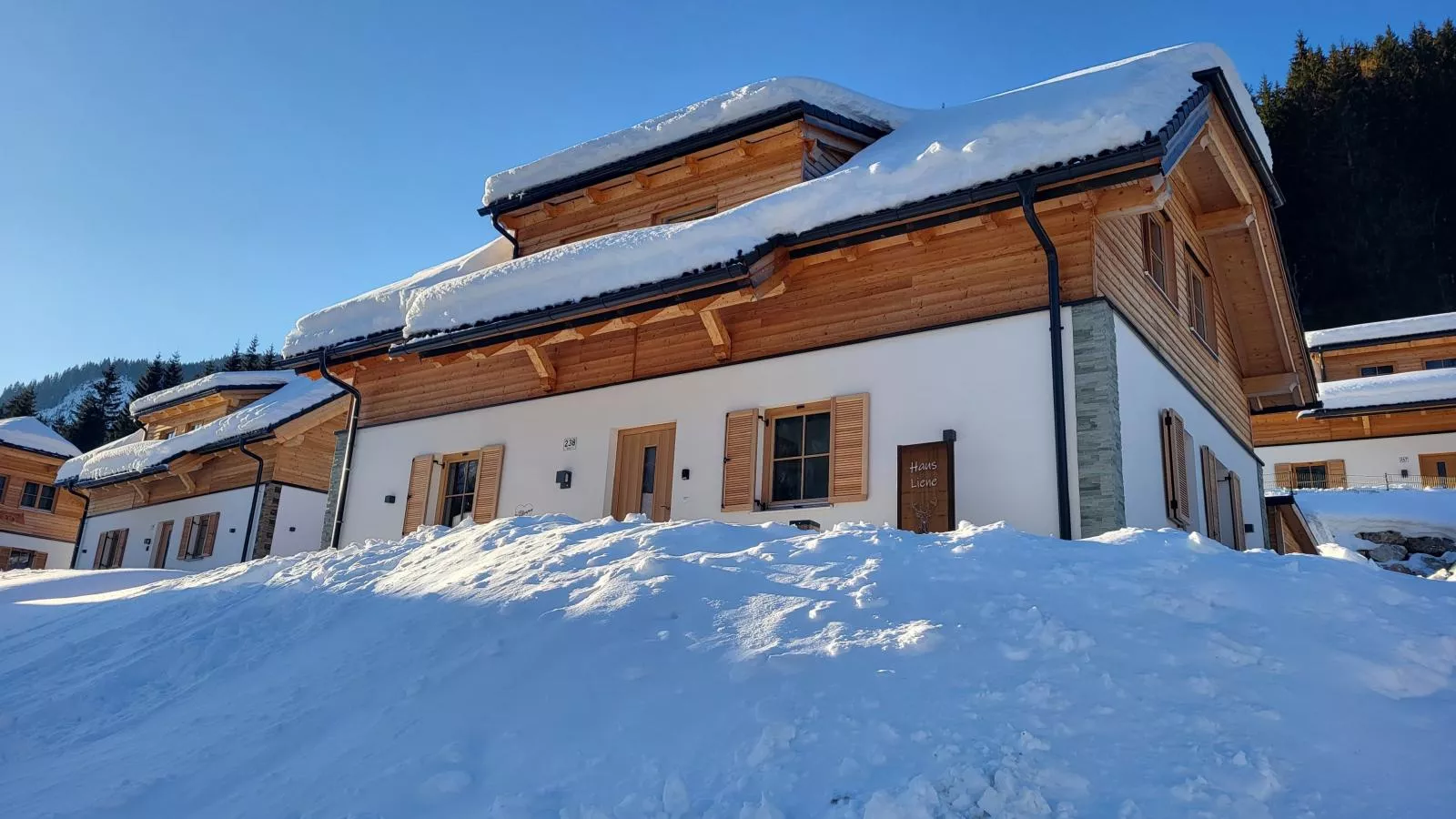Haus Liene-Exterior winter