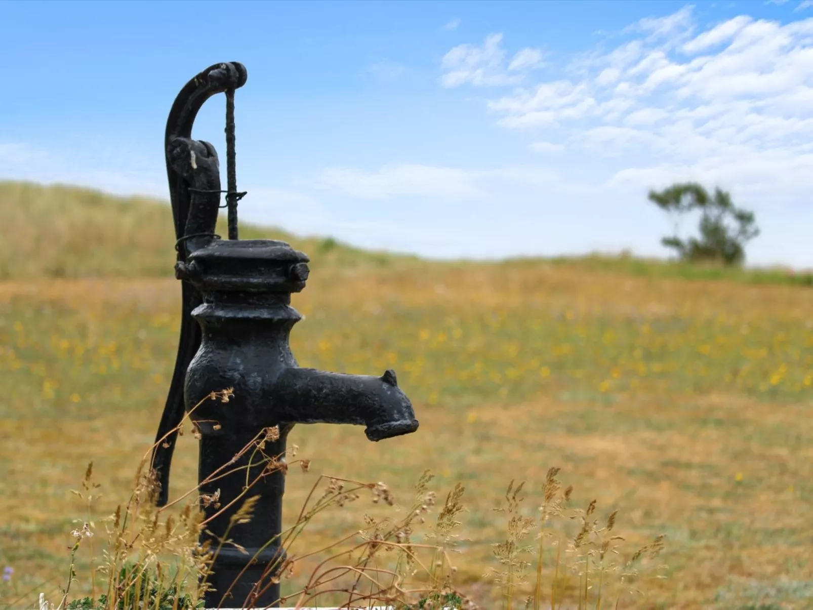 "Berndt" - 50m from the sea-Outside