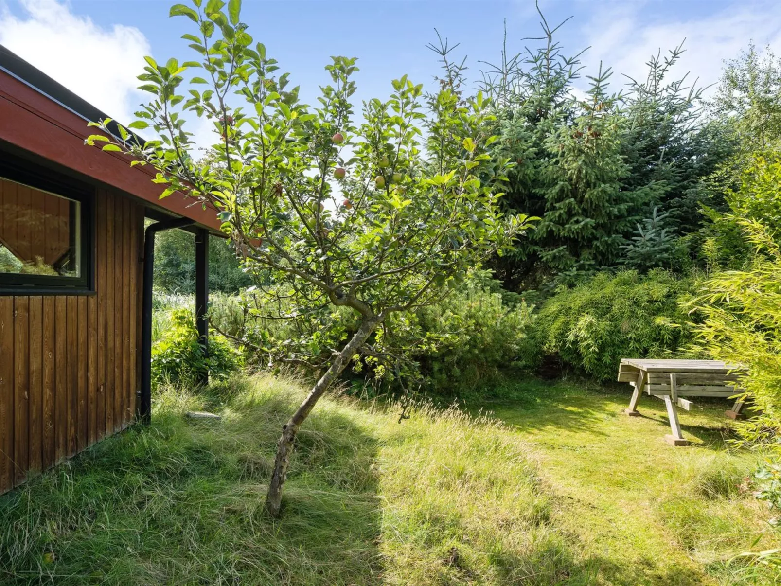 "Sune" - 500m from the sea-Draußen