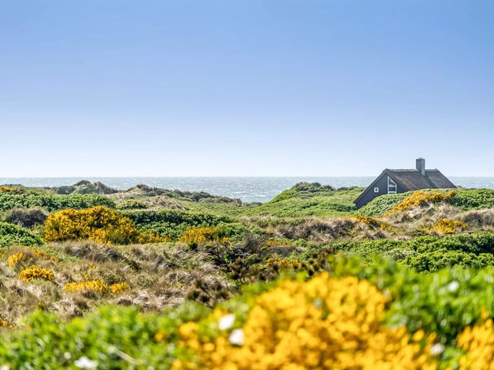 "Ehawee" - 350m from the sea-Dehors