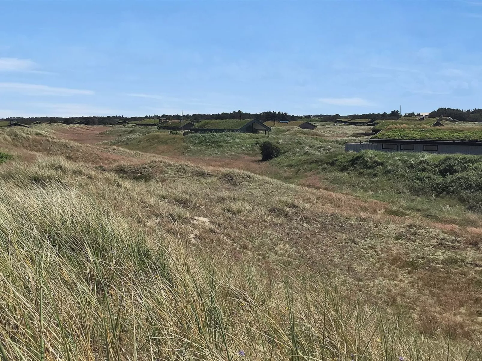 "Gerulf" - 600m from the sea-Draußen