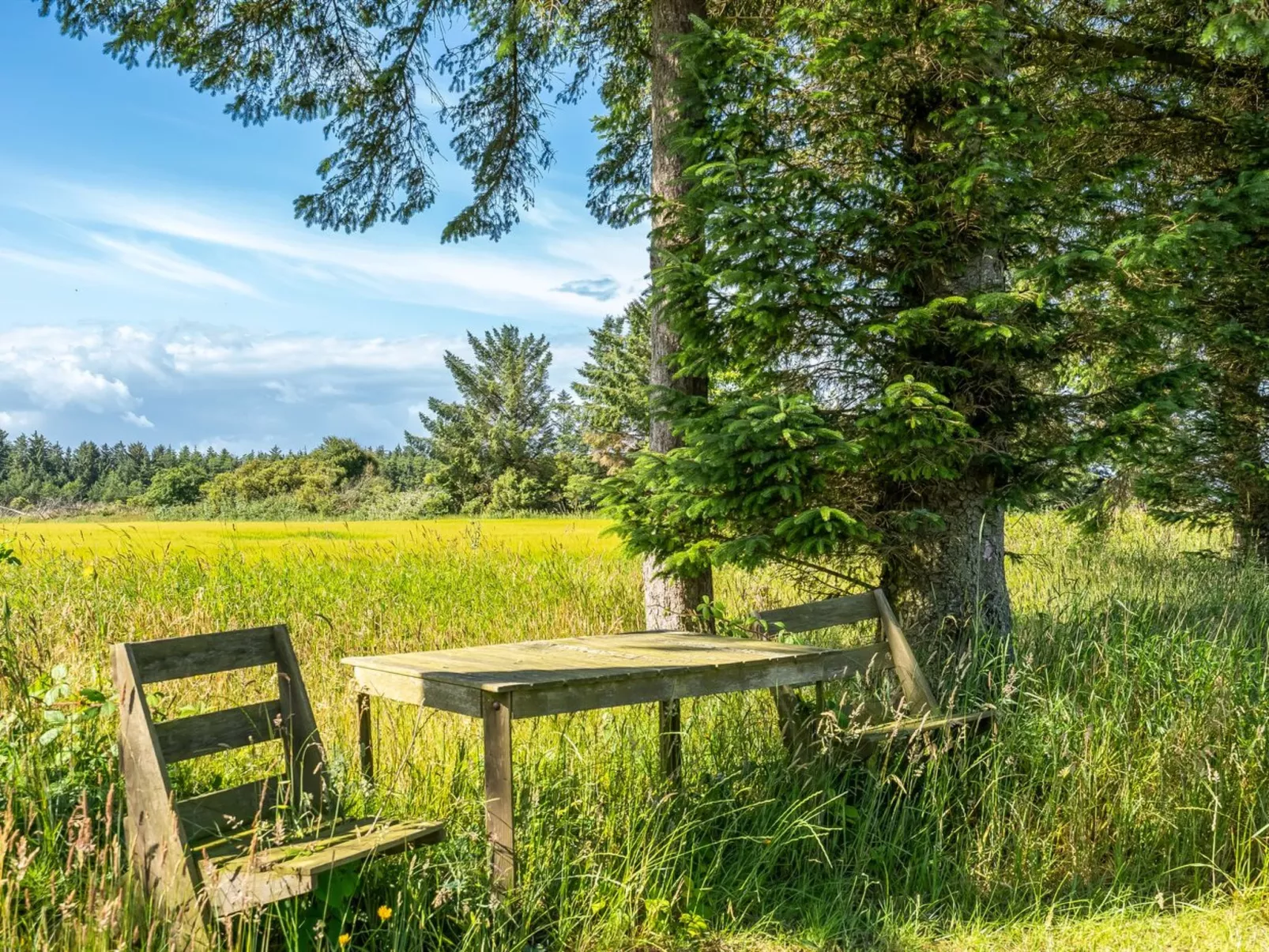 "Engelina" - 1.3km from the sea-Draußen